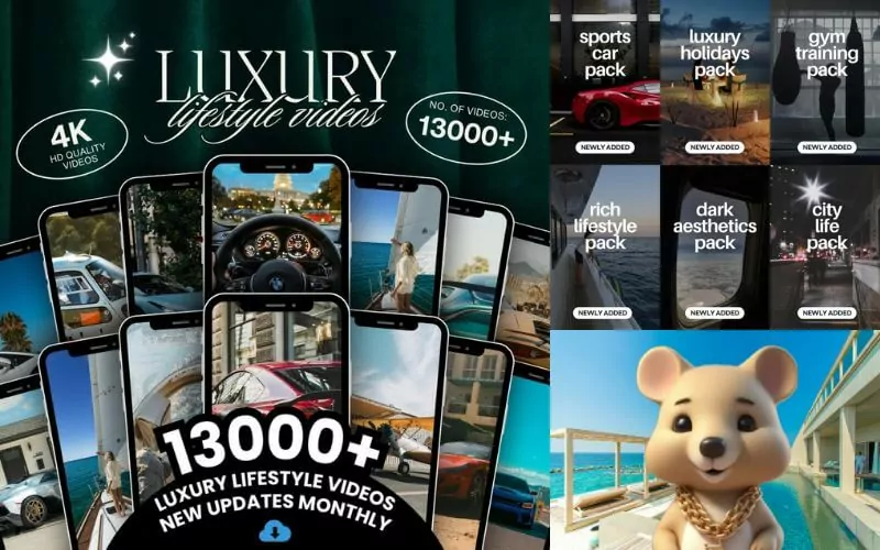 13,000 Luxury Video Reels